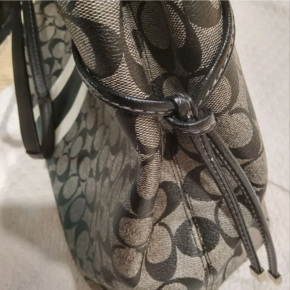 Coach Signature Stripe Carryall Tote